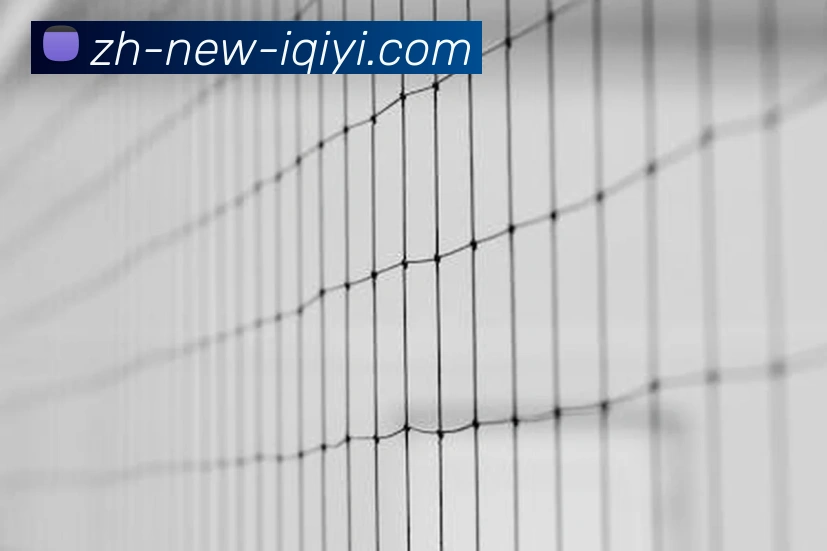 爱奇艺体育平台生态图